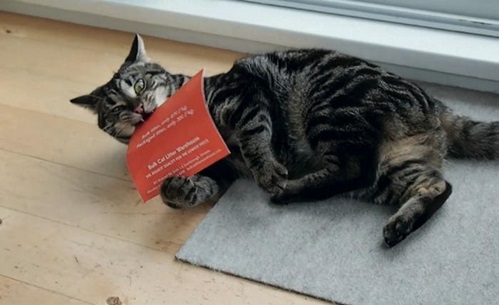 Bulk Cat Litter - Case studies