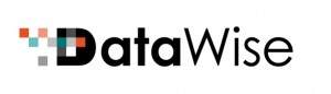 DataWise logo kolor RGB